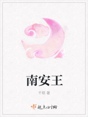 南安王