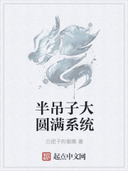 半吊子大圆满系统