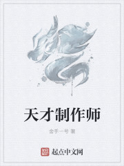 藏武天下