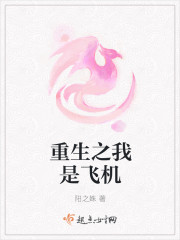 重生之我是飞机