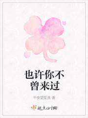 也许你不曾来过