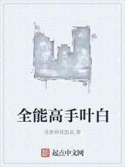 全能高手叶白