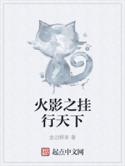 火影之挂行天下