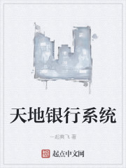 天地银行系统