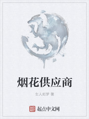 烟花供应商
