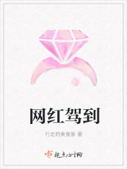 网红驾到