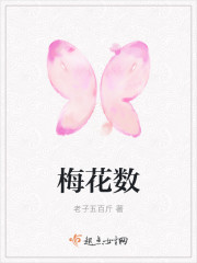 梅花数