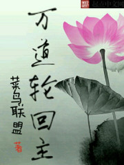 万道轮回主