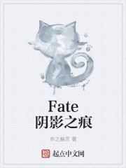 Fate阴影之痕