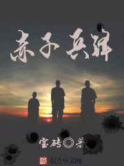 赤子兵锋