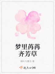 梦里苒苒齐芳草