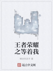 王者荣耀之等着我