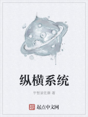 纵横系统