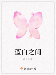 蓝白之间