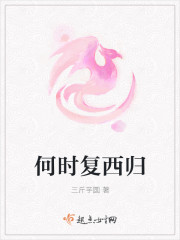 何时复西归