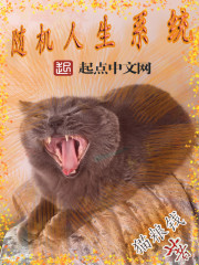随机人生系统