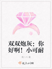 双双炮灰:你好啊!小可耐