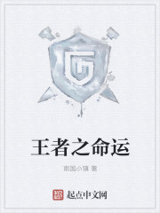 王者荣耀之主宰命运
