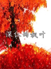 红色的枫叶