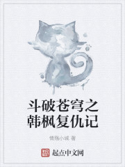 斗破苍穹之韩枫复仇记