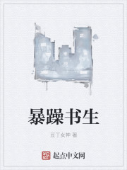 暴躁书生