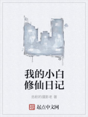 我的小白修仙日记