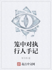 笼中对执行人手记