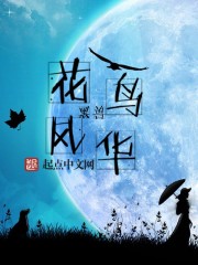 花鸟风华