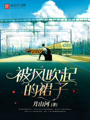 被风吹起的裙子