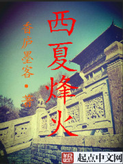 西夏烽火
