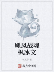 飓风战魂枫冰文