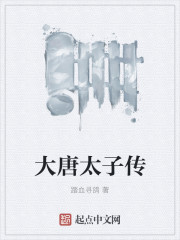 大唐太子传
