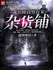 我在修真界有家杂货铺