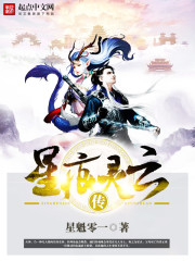 星痕灵云传