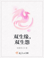 双生缘双生怨