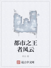 都市之王者风云