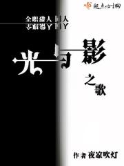 全职猎人同人光与影之歌