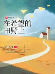 在希望的田野上上部