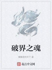 破界之魂