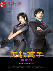 无敌高手俏老婆
