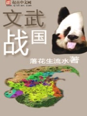 文武战国