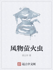 拳王陈武