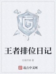 王者排位日记