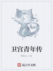 卫宫青年传