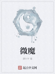 微魔