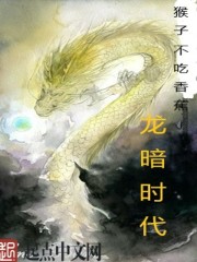 龙暗时代