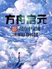方舟启元