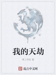 我的天劫