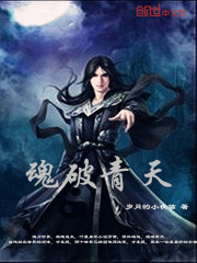 魂破青天