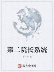 第二院长系统